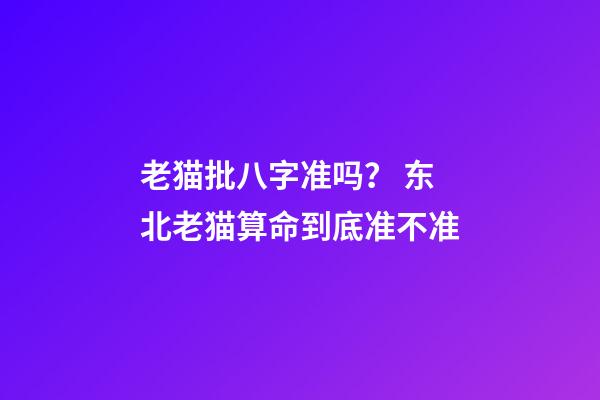 老猫批八字准吗？ 东北老猫算命到底准不准-第1张-观点-玄机派